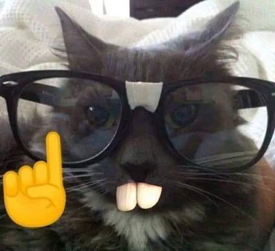 Gato meme (nerd)